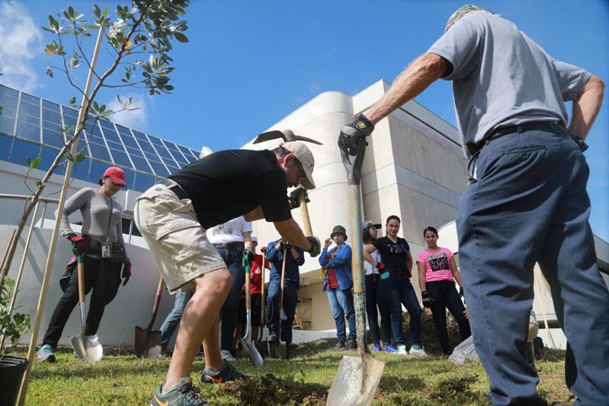 Llega al Centro Judicial de Arecibo el Proyecto de Reforestación de la Rama Judicial