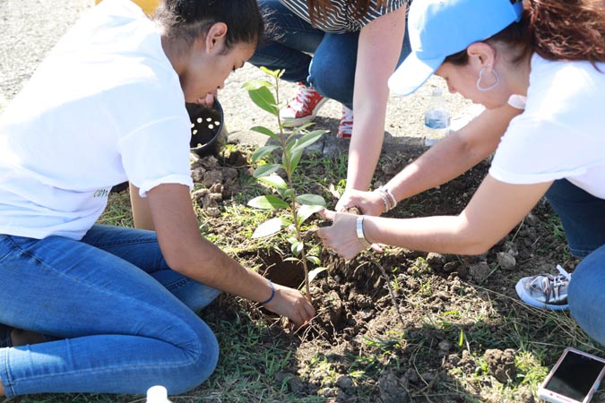 Rama Judicial comienza proyecto de reforestación en los Centros Judiciales bajo el lema “Reforestando con Justicia”